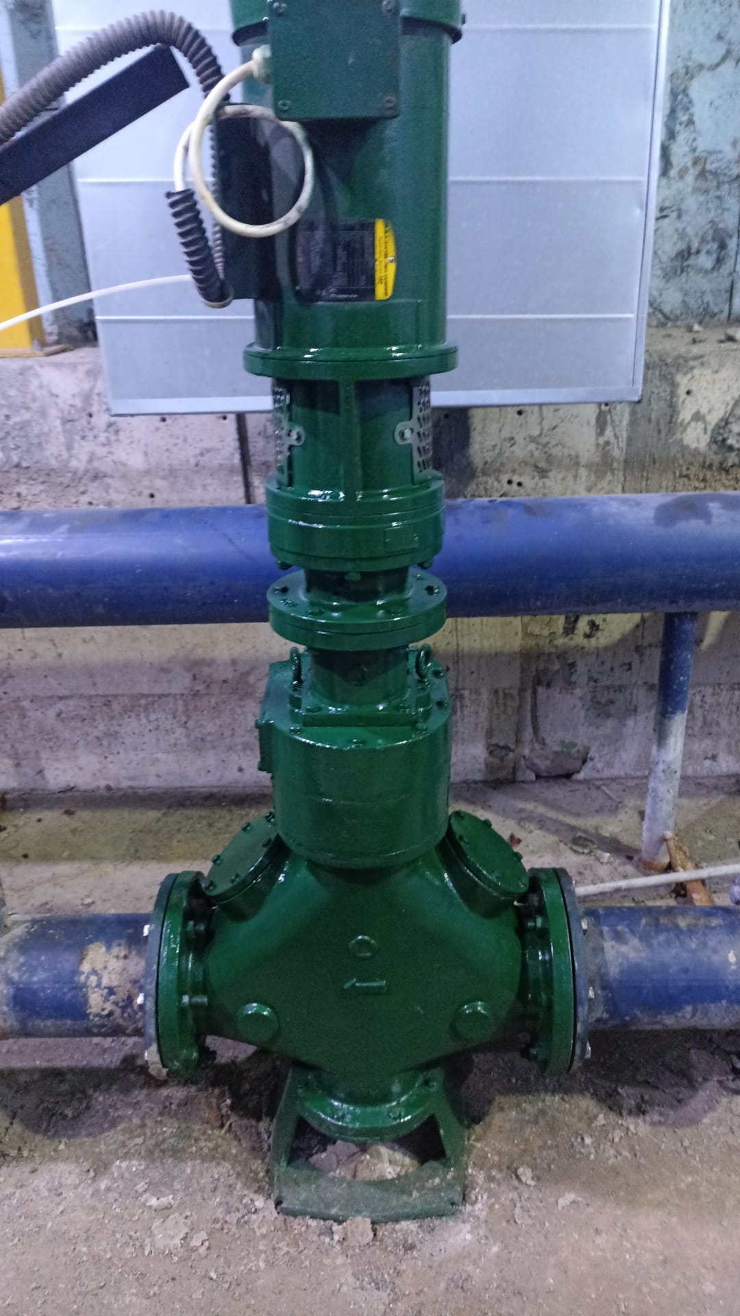 תמונת פרויקט 15